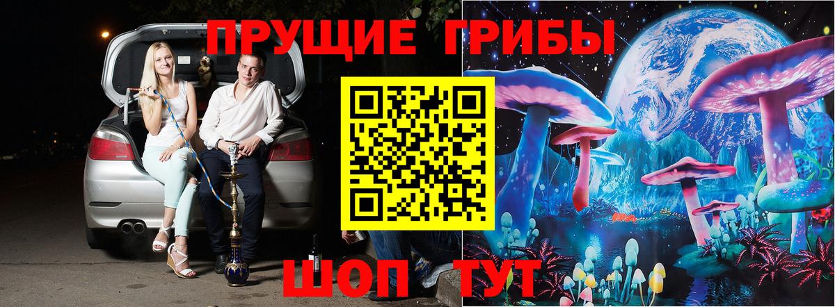 Псилоцибиновые грибы Psilocybe  Вход с VPN  Орехово-Зуево 